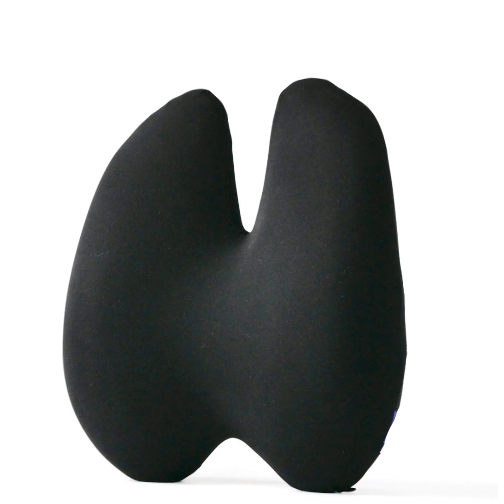 LUMBAR CUSHION