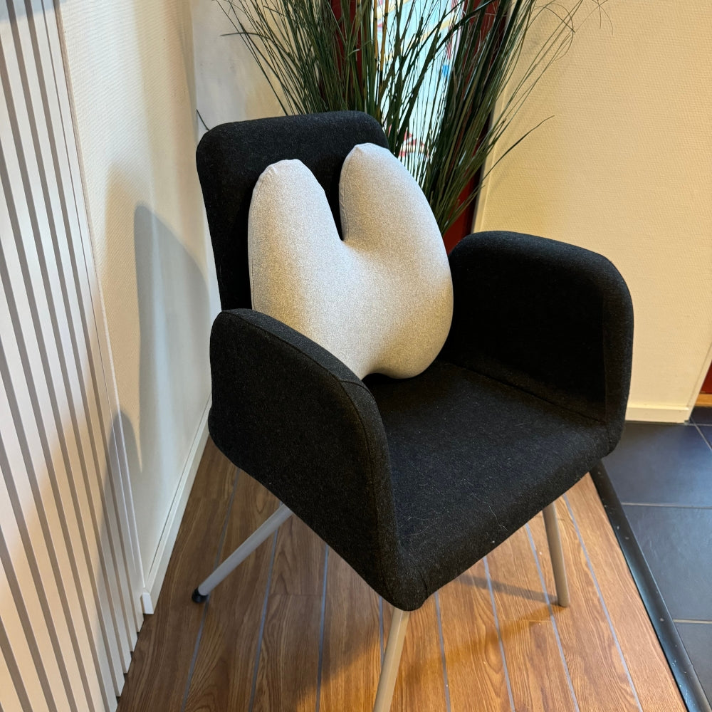 LUMBAR CUSHION